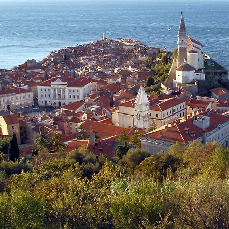 Sea View Istrian Countryside Apartment - Rota Dragonja Εξωτερικό φωτογραφία