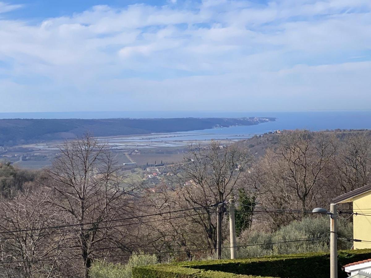 Sea View Istrian Countryside Apartment - Rota Dragonja Εξωτερικό φωτογραφία