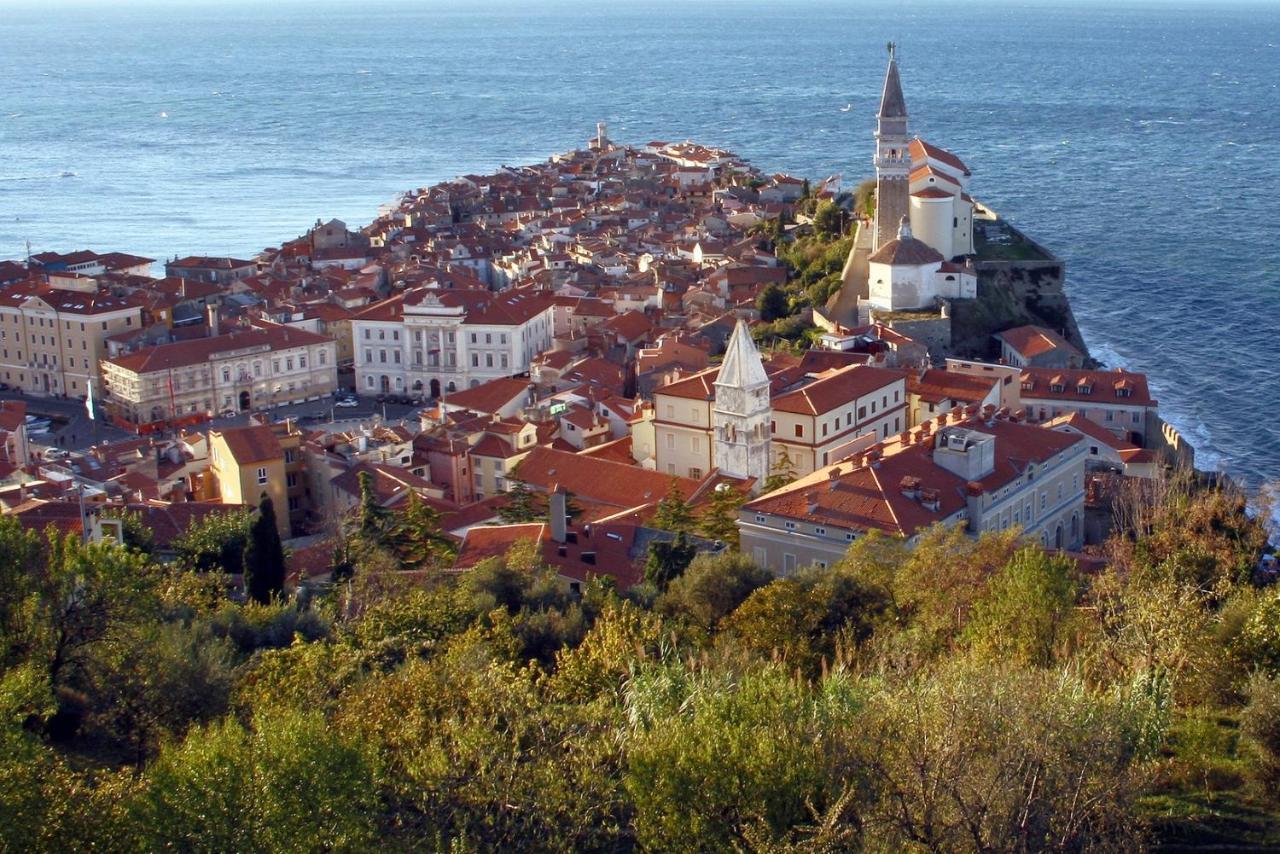Sea View Istrian Countryside Apartment - Rota Dragonja Εξωτερικό φωτογραφία