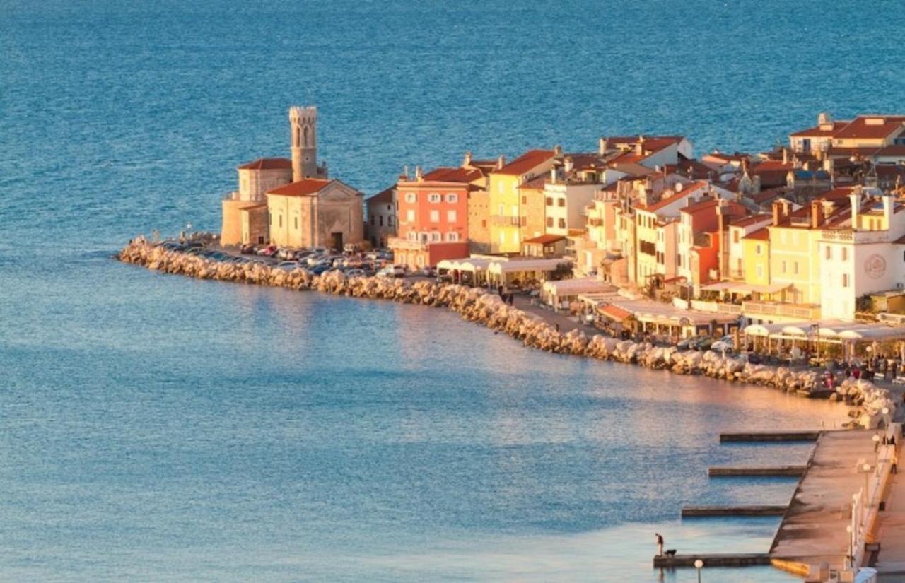Sea View Istrian Countryside Apartment - Rota Dragonja Εξωτερικό φωτογραφία